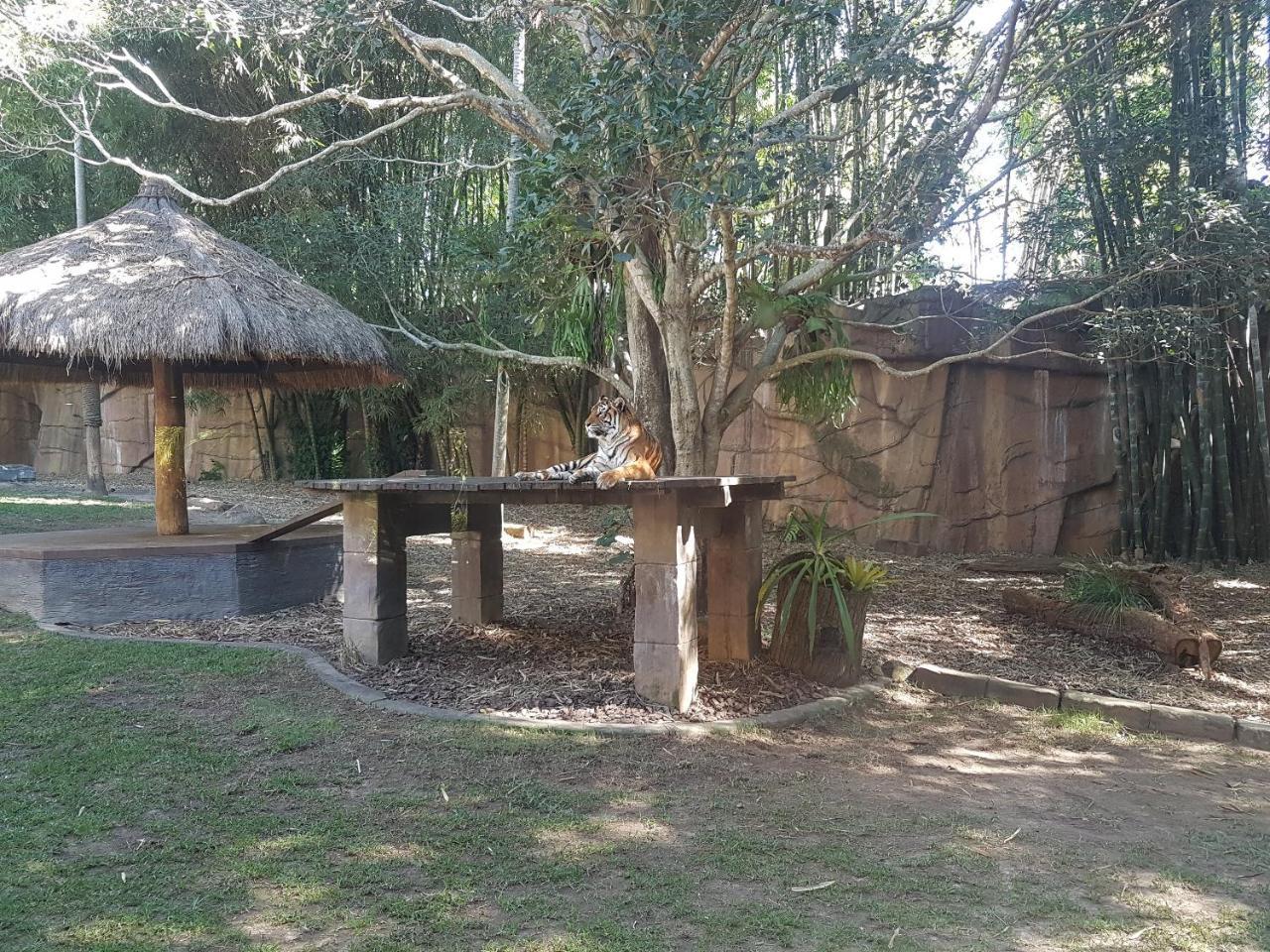 House Beerwah